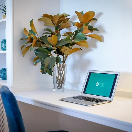 Banus - Puerto Banus Marina Harbour Seafront *